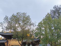 -荣县大佛