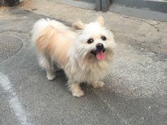 -纳吉亚猫专科动物诊疗中心(蒋宅口分院)