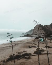 -HEYAN荷妍专业脱毛连锁机构