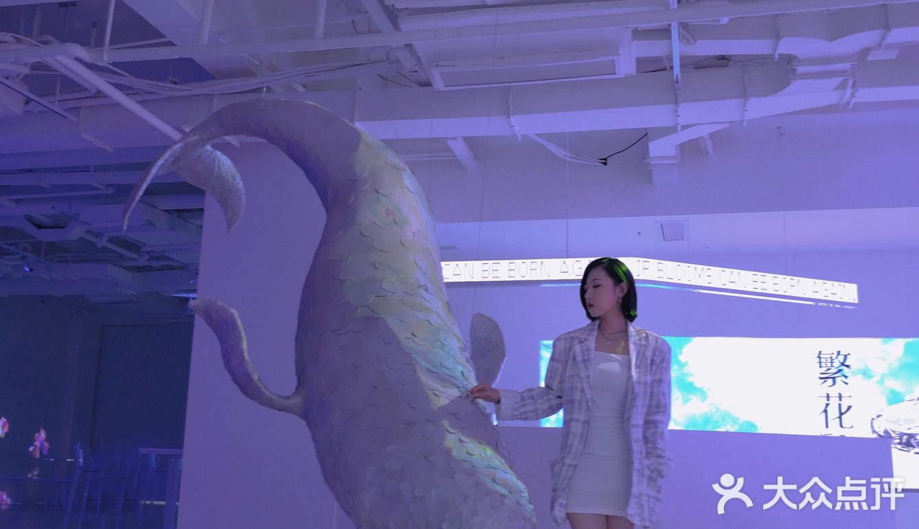 成都南门看展｜🐋BLOOMS繁花·光怪陆离的世界里遨游