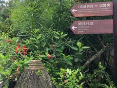 -亚龙湾热带天堂森林公园