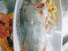 -宾湖农庄·农场特色(太湖龙之梦店)
