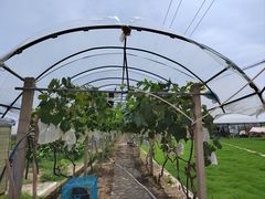 -美家乐农庄·露营·团建(大治路店)