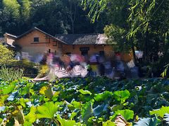 -韶山毛泽东同志故居