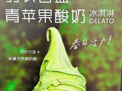 羽衣甘蓝青苹果酸奶冰淇淋-野人先生现做冰淇淋(北京顺义祥云小镇店)