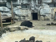 -黔灵山公园