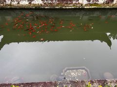 -宁波市保国寺古建筑博物馆