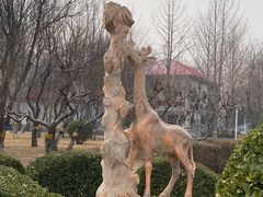 -西清公园