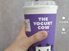 -一只酸奶牛(成都sm广场店)