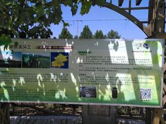 -北京张裕爱斐堡酒庄
