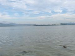 -华侨城湿地公园