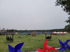 -溱湖国家湿地公园