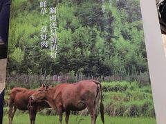 -左庭右院鲜牛肉火锅(南通CBD大有境店)