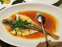 黄鱼-金美华轩(东方路齐鲁店)