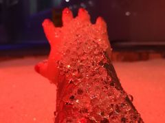 -兴芮温泉度假区