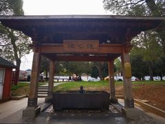 -庐山风景名胜区-东林大佛