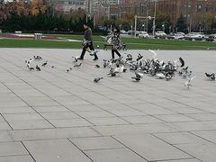 -大连人民广场