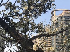-天鹅湖体育公园