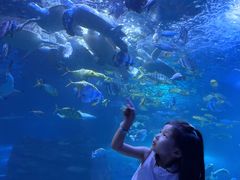 -太平洋海底世界