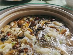 -山菌美食苑(振兴路店)