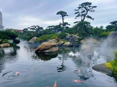 -罗红摄影艺术馆