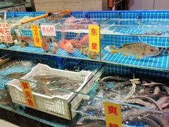 水产区-珠光市场(文德南路)