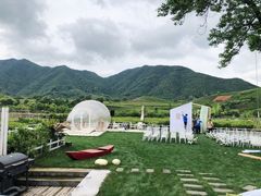 -龙坞茶村