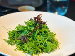 辣木苗炝拌鸡枞菌-醉东Oriental House(静安嘉里中心店)