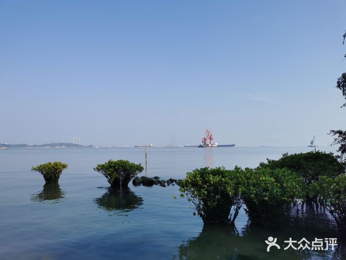 滨海公园图片