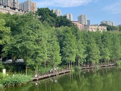 -重庆彩云湖湿地公园