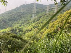 -梧桐山风景名胜区