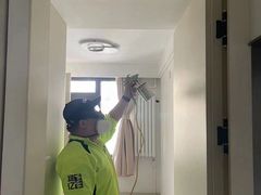 -绿色亿家除甲醛机构