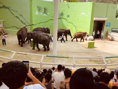 -大连森林动物园