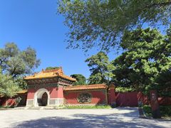-北陵公园
