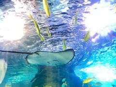 -太平洋海底世界