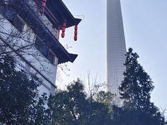 -龟山风景区-龟山电视塔