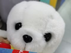 -太平洋海底世界