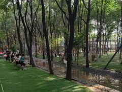 -草根堂农场