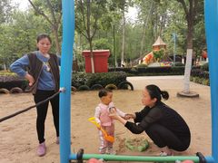 -合肥滨湖国家森林公园