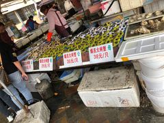 -南沙十九涌渔人码头-南门