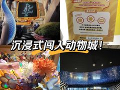 -SFC动漫主题影院(美罗城店)