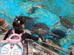 -海合安成都极地海洋公园