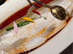 -醉庐·新上海菜(南京西路店)