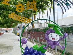 -金谷域澳洲庄园