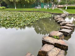 -河泥荡文化公园