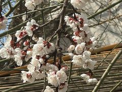 -碑林公园