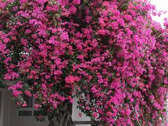 -广州市干部健康管理中心