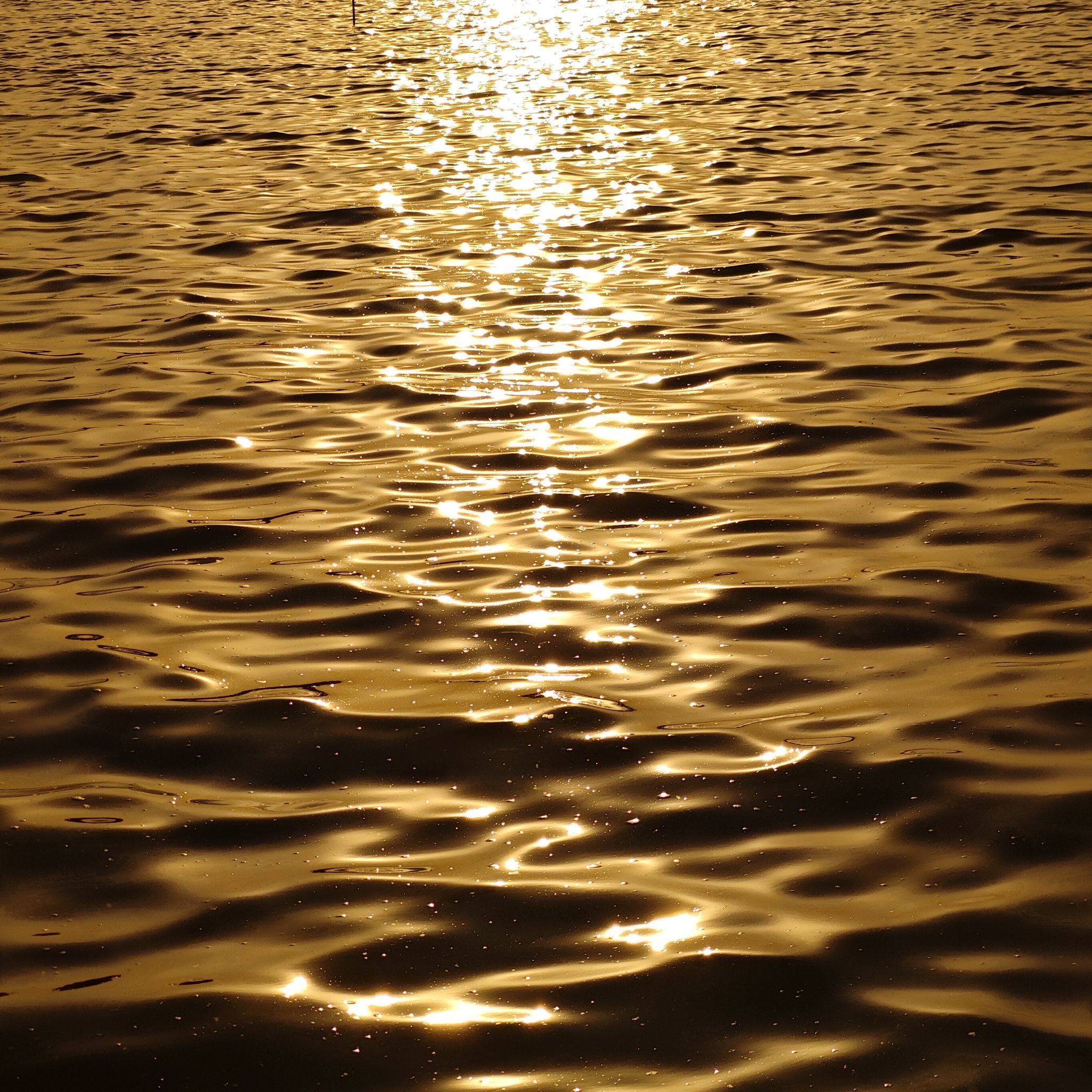 天天领红包 看看你们拍的波光粼粼.落日