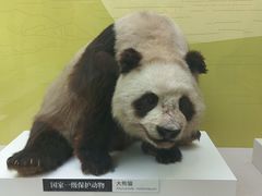 -国家自然博物馆