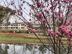 -圩墩遗址公园